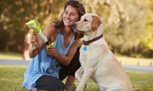 dog gone tennis ball blaster toy for kids and dogs