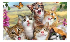 cat 3d selfie puzzle - look at them mugs!